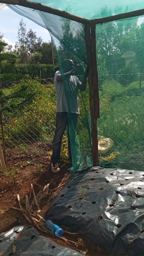 Kitchen garden construction